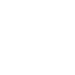 紹介動画はこちら